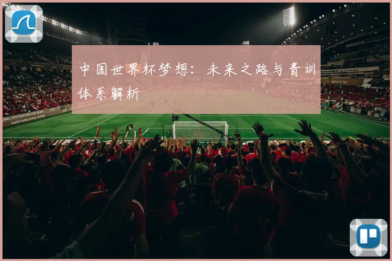 中国世界杯梦想：未来之路与青训体系解析