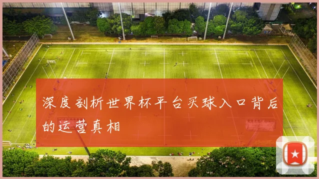深度剖析世界杯平台买球入口背后的运营真相
