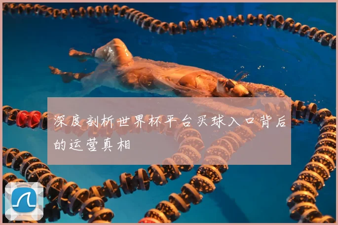 深度剖析世界杯平台买球入口背后的运营真相