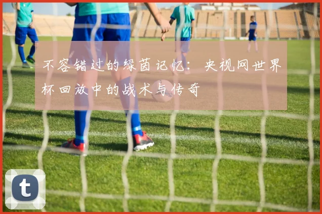 不容错过的绿茵记忆：央视网世界杯回放中的战术与传奇