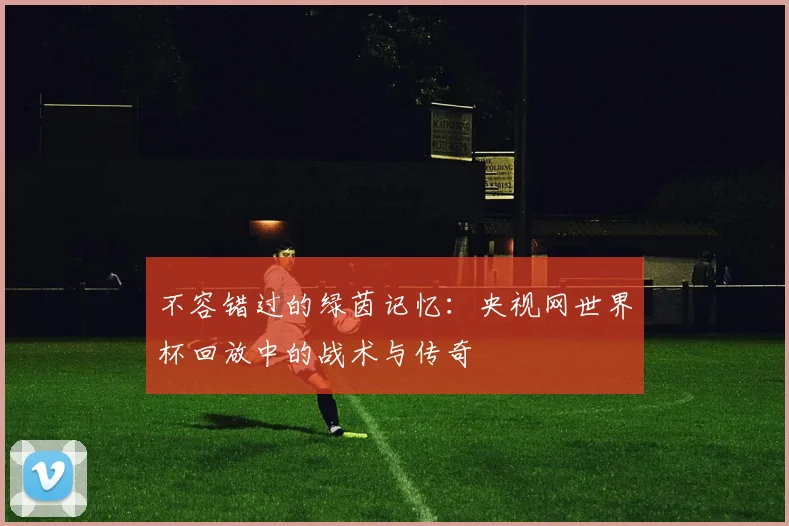 不容错过的绿茵记忆：央视网世界杯回放中的战术与传奇