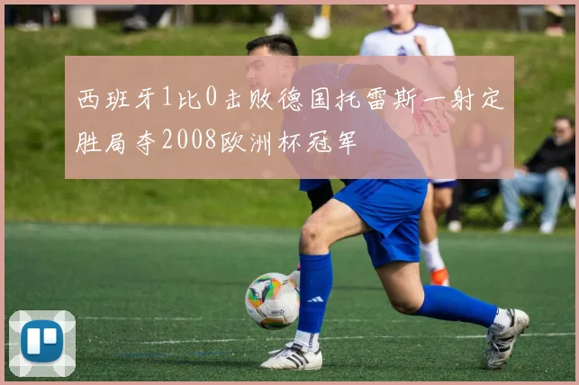 西班牙1比0击败德国托雷斯一射定胜局夺2008欧洲杯冠军