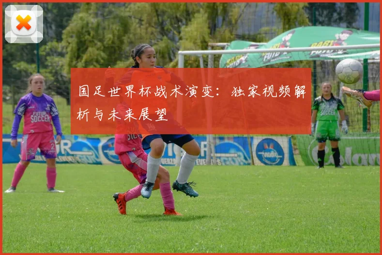 国足世界杯战术演变：独家视频解析与未来展望